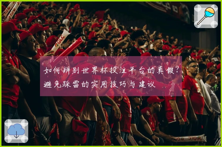 如何辨别世界杯投注平台的真假?避免踩雷的实用技巧与建议