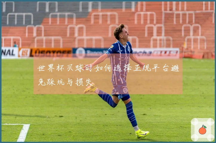 世界杯买球时如何选择正规平台避免踩坑与损失